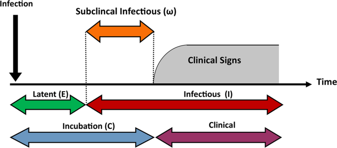 Timeline for Flu After Exposure