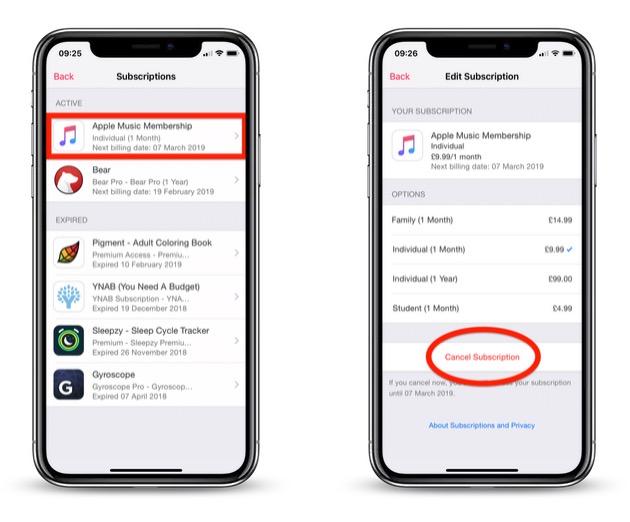 Simple Guide to How to Cancel Apple Subscriptions in 2025: Learn More!