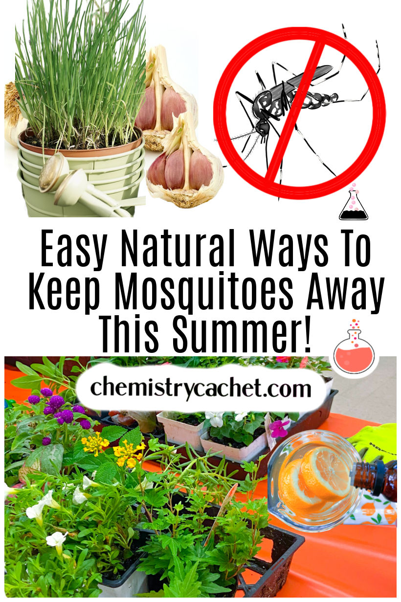 Tips to protect yourself from mosquitoes