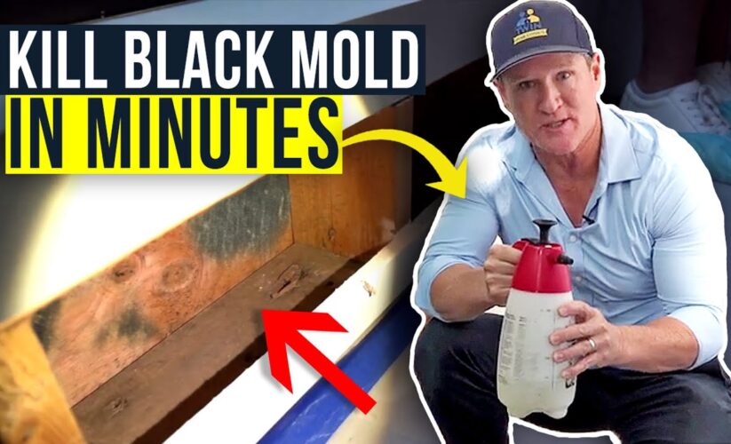 Effective Ways to Kill Black Mold: Practical Tips for a Healthy Home in 2025