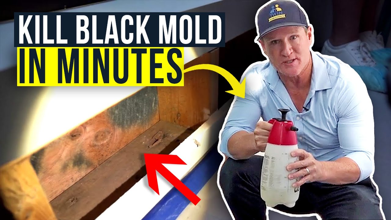 Effective Ways to Kill Black Mold: Practical Tips for a Healthy Home in 2025