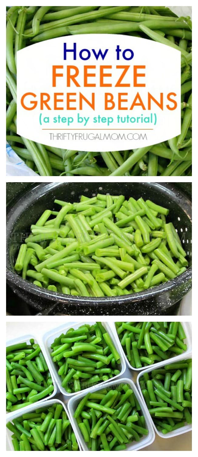 How to Properly Freeze Green Beans: Simple Ways for Fresh, Lasting Flavor in 2025