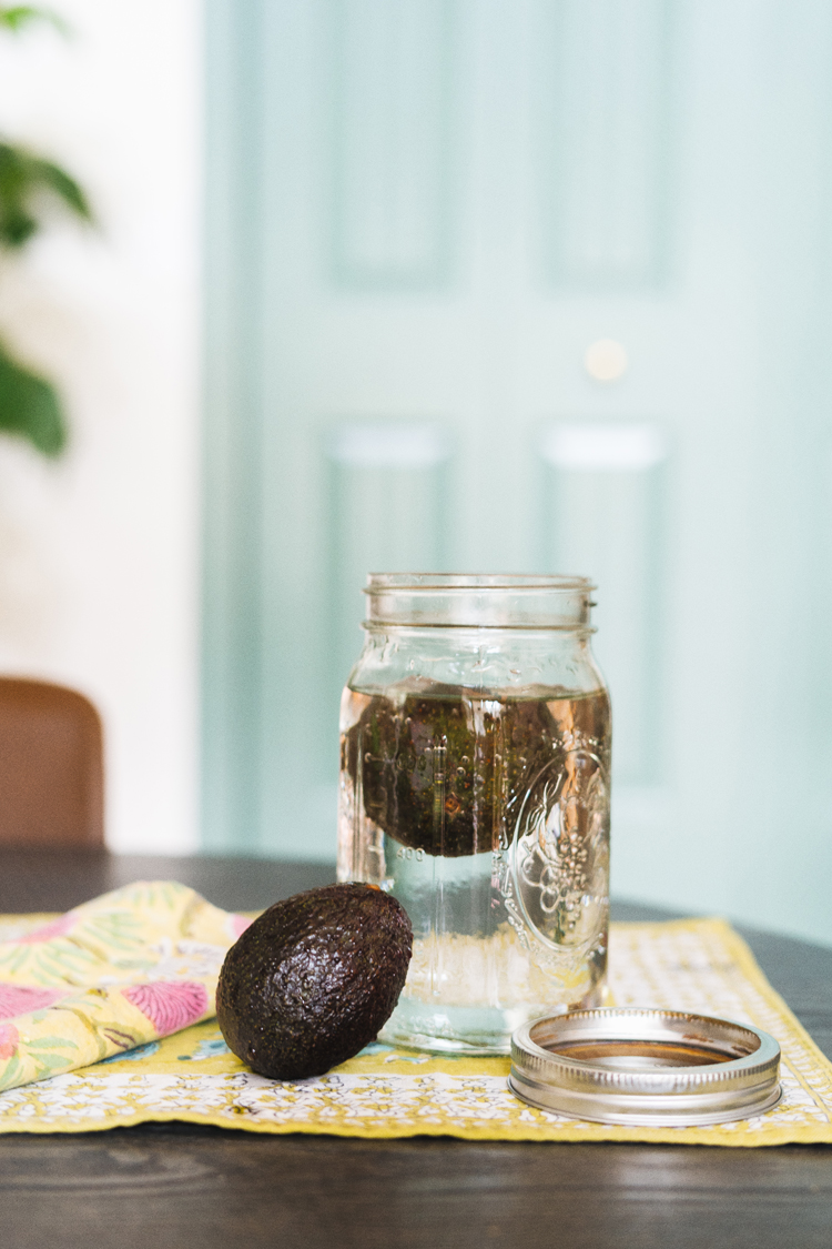 Techniques for avocado storage