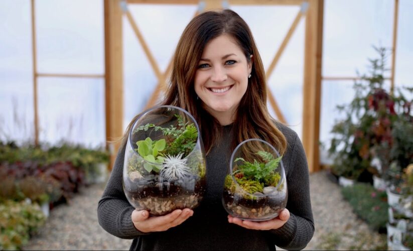 How to Create a Beautiful Terrarium: Practical Tips for Beginners in 2025