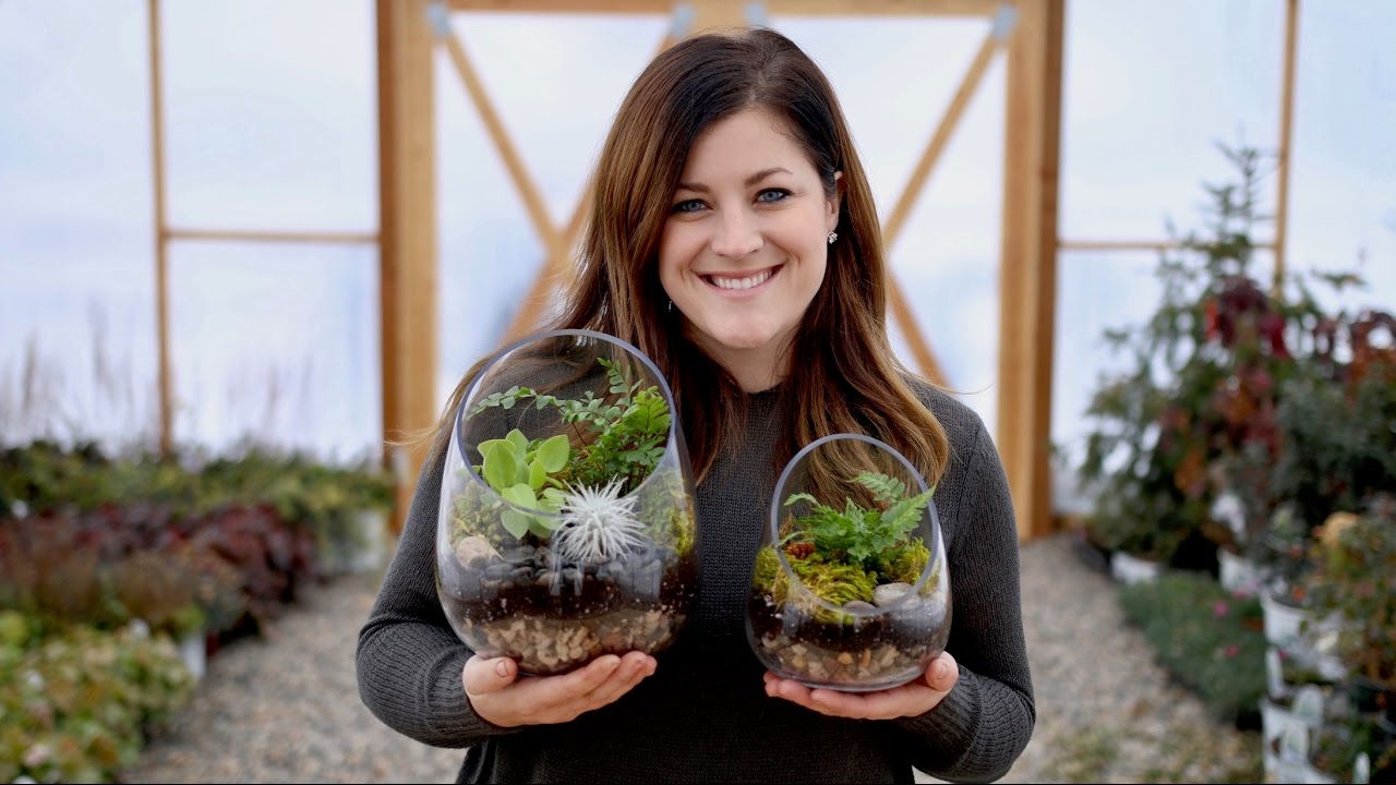 How to Create a Beautiful Terrarium: Practical Tips for Beginners in 2025