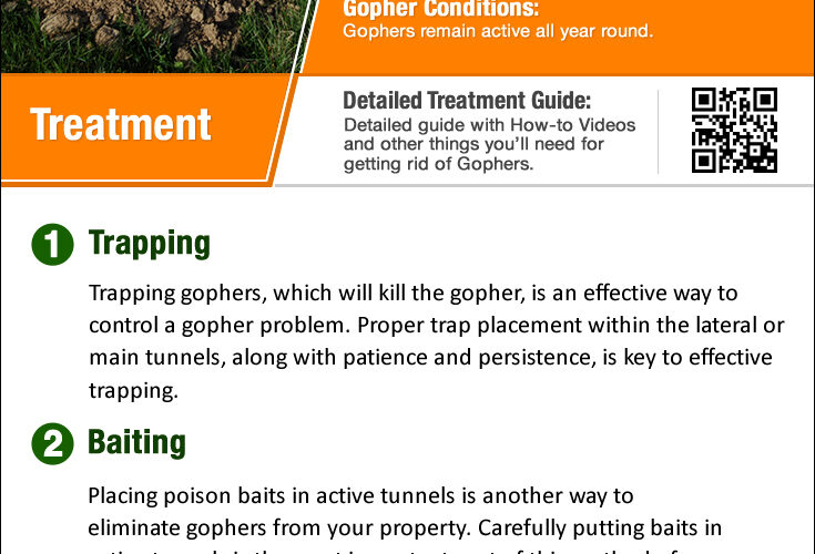 Effective Ways to Get Rid of Gophers: Smart Solutions for Your Garden in 2025