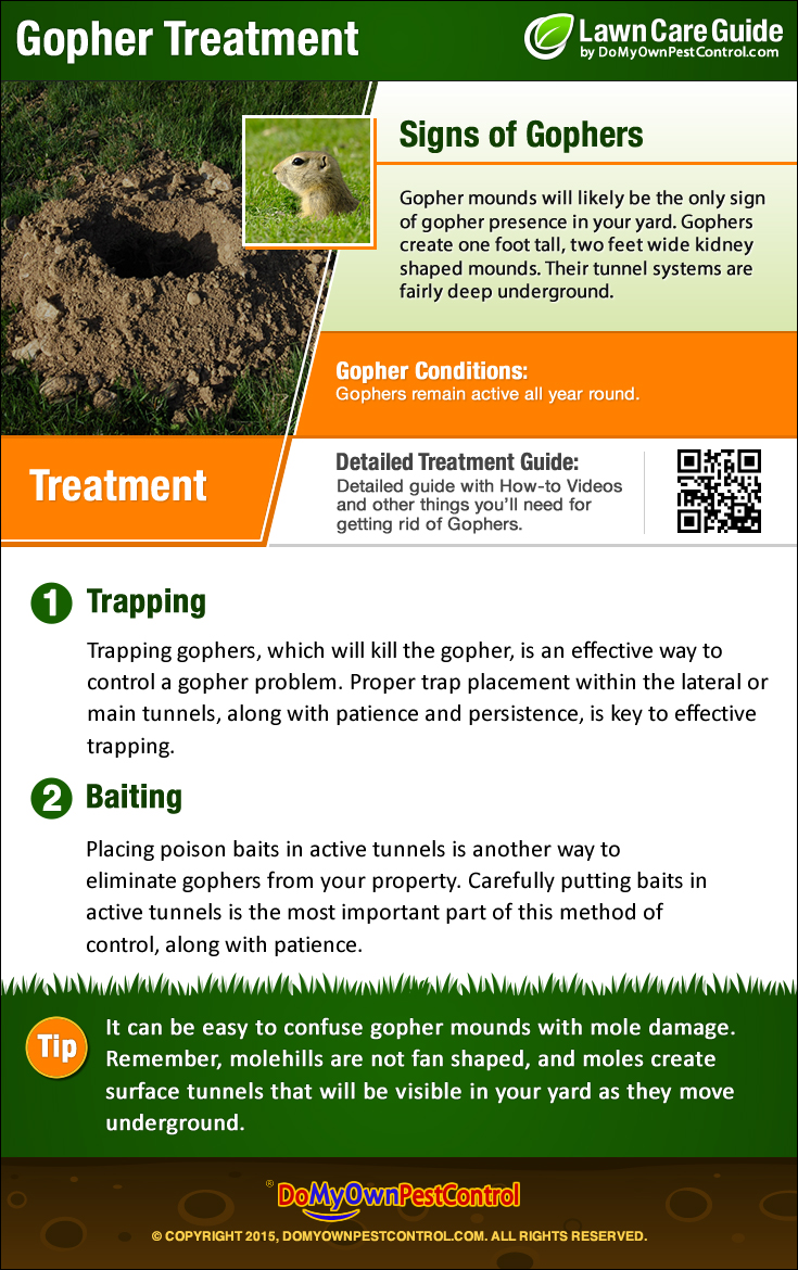 Effective Ways to Get Rid of Gophers: Smart Solutions for Your Garden in 2025