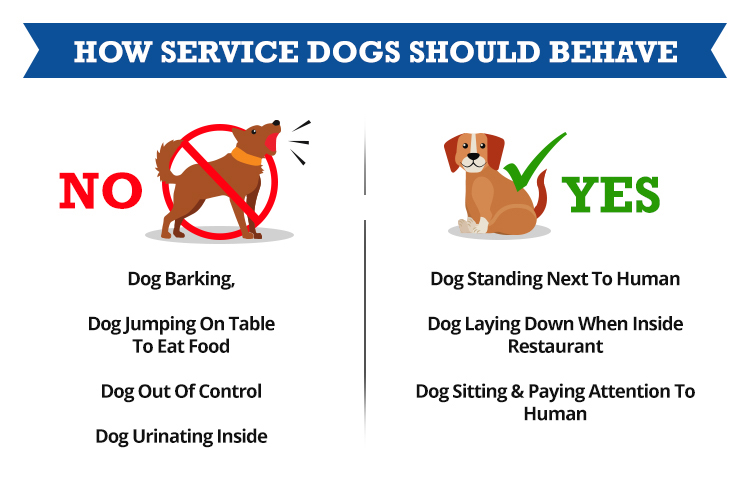 Effective Ways to Stop a Dog from Barking: Proven Tips for Success in 2025