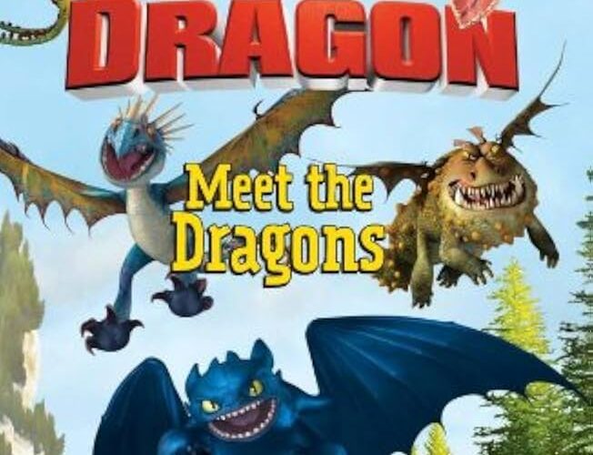 How to Train Your Dragon Dragons: Smart Ways to Enhance Bonding in 2025