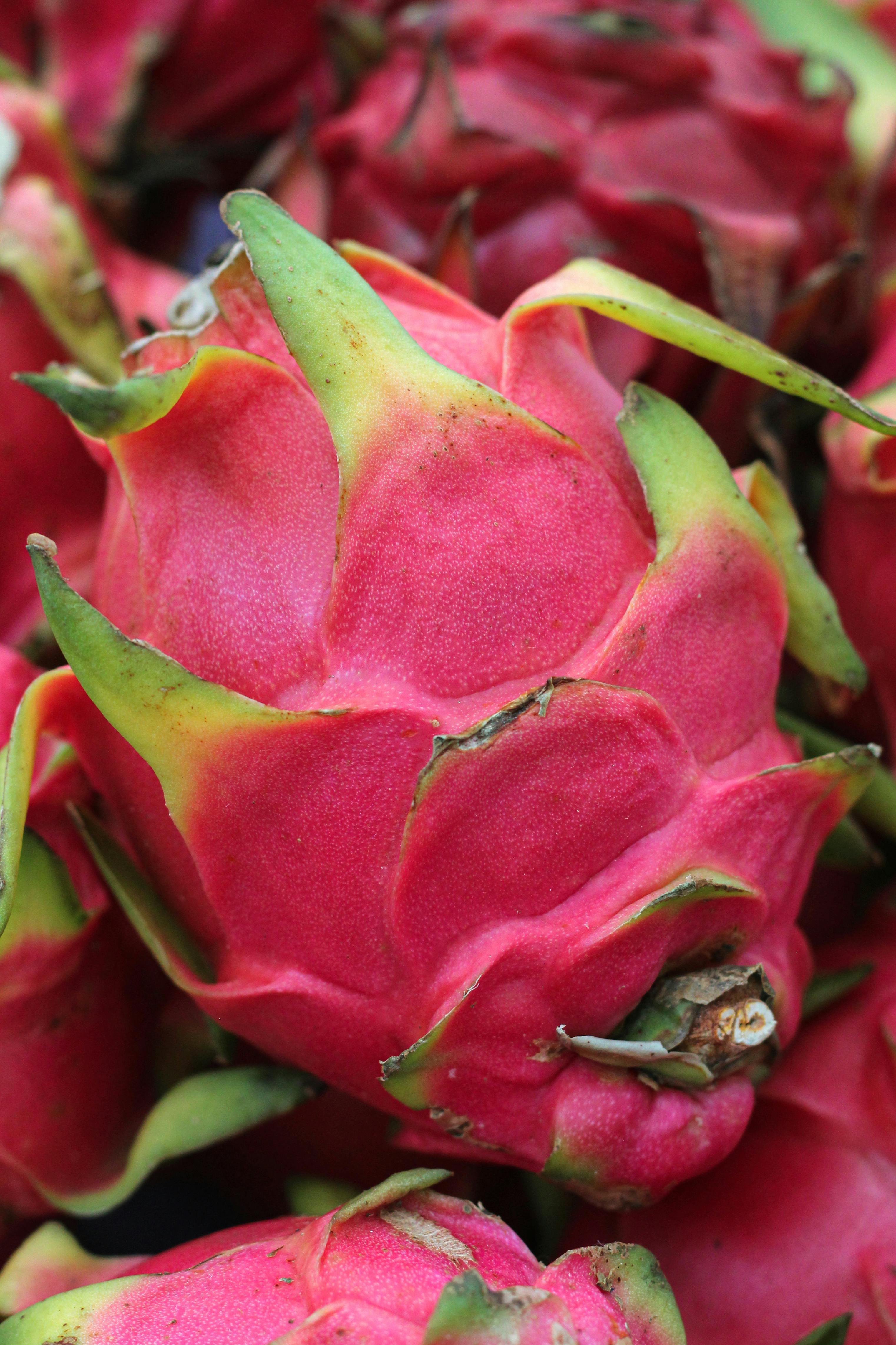 Fresh Dragon Fruit